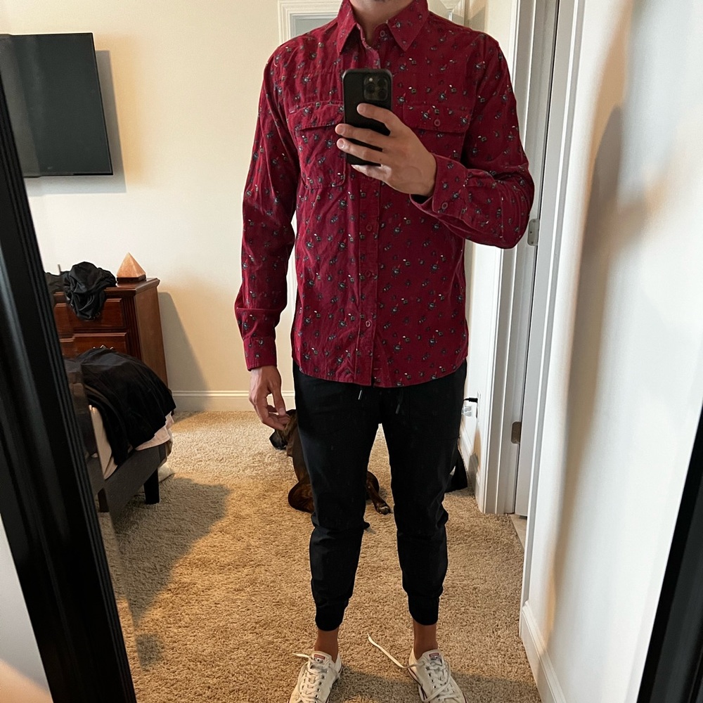Long sleeve button down. Gnomes. Large.